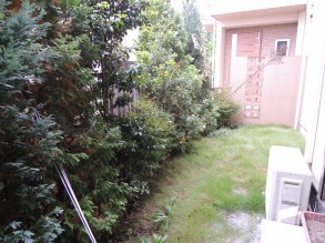 DSCN0885