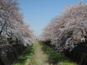 DSCN2244
