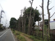 DSCN2623