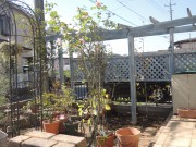 DSCN2953