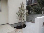 DSCN3232