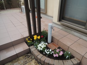 DSCN3927