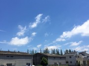 S__2220035