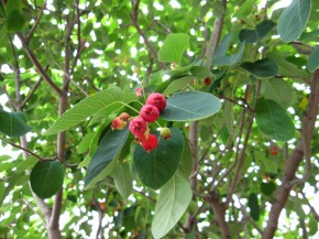 img_3874 img_3874